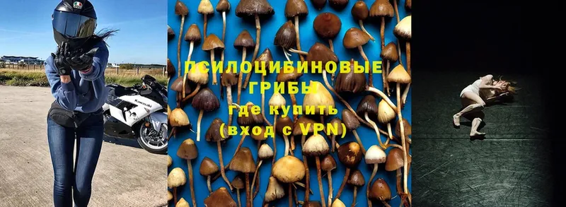 Галлюциногенные грибы MAGIC MUSHROOMS  Абинск 